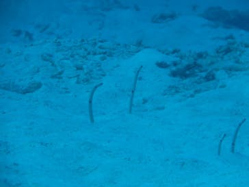 クラブアクシスに投稿された画像（2024/10/1）