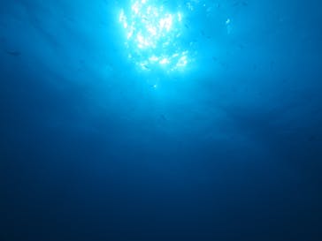 クラブアクシスに投稿された画像（2024/10/1）