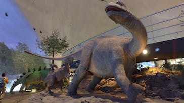 福井県立恐竜博物館に投稿された画像（2024/10/1）