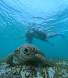 nico 宮古島に投稿された画像（2024/10/1）