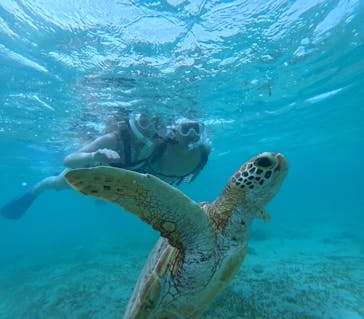 nico 宮古島に投稿された画像（2024/10/1）