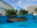 サンシャイン水族館に投稿された画像（2024/10/1）