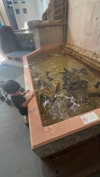 九十九島水族館海きららに投稿された画像（2024/10/1）