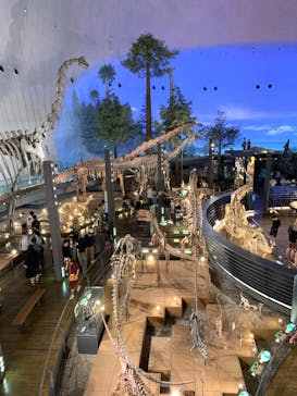 福井県立恐竜博物館に投稿された画像（2024/10/1）