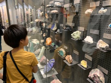 福井県立恐竜博物館に投稿された画像（2024/10/1）