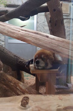 九十九島動植物園森きららに投稿された画像（2024/10/1）