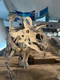 福井県立恐竜博物館に投稿された画像（2024/10/1）
