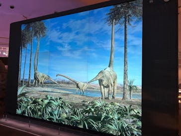 福井県立恐竜博物館に投稿された画像（2024/10/1）