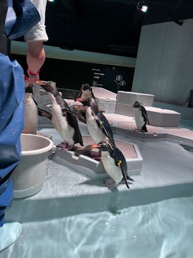 AOAO SAPPOROに投稿された画像（2024/10/1）