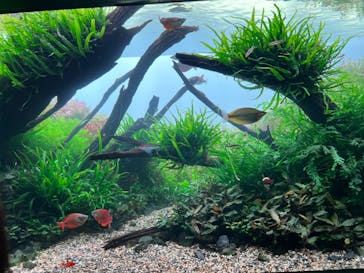 AOAO SAPPOROに投稿された画像（2024/10/1）