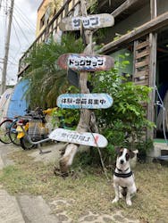 Pono Outdoor Sport Laboに投稿された画像（2024/9/30）