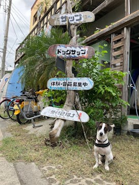 Pono Outdoor Sport Laboに投稿された画像（2024/9/30）