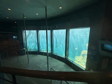 下田海中水族館に投稿された画像（2024/10/1）