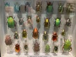 特別展「昆虫 MANIAC」（国立科学博物館）に投稿された画像（2024/10/2）