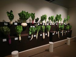 和食～日本の自然、人々の知恵～（東北歴史博物館）に投稿された画像（2024/10/1）