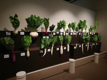 和食～日本の自然、人々の知恵～（東北歴史博物館）に投稿された画像（2024/10/1）