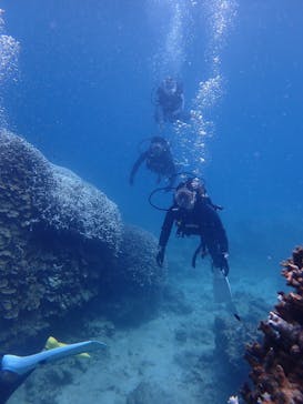 初心者専門店NEOMARINE石垣島に投稿された画像（2024/9/30）