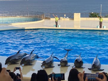 マリンワールド海の中道に投稿された画像（2024/10/2）
