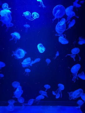 AOAO SAPPOROに投稿された画像（2024/10/2）