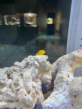 AOAO SAPPOROに投稿された画像（2024/10/2）