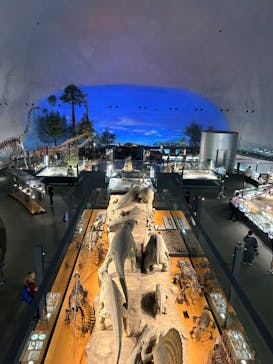 福井県立恐竜博物館に投稿された画像（2024/10/2）