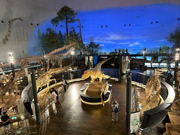 福井県立恐竜博物館に投稿された画像（2024/10/2）