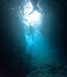 沖縄マリンサービス碧に投稿された画像（2024/10/2）