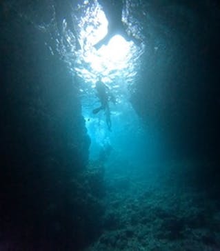 沖縄マリンサービス碧に投稿された画像（2024/10/2）