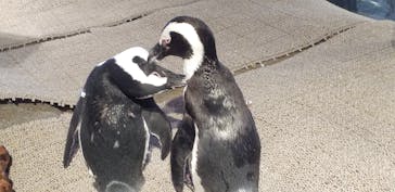 NIFREL（ニフレル）に投稿された画像（2024/10/2）