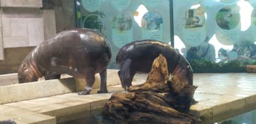 NIFREL（ニフレル）に投稿された画像（2024/10/2）