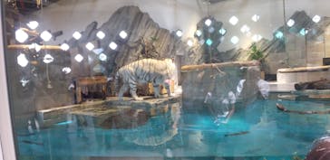 NIFREL（ニフレル）に投稿された画像（2024/10/2）