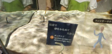 NIFREL（ニフレル）に投稿された画像（2024/10/2）