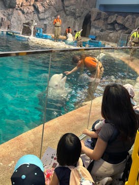 名古屋港水族館に投稿された画像（2024/10/2）