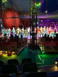 木下大サーカス宮崎公演に投稿された画像（2024/10/2）