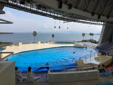 マリンワールド海の中道に投稿された画像（2024/10/2）