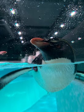 AOAO SAPPOROに投稿された画像（2024/10/2）