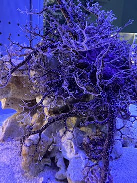 AOAO SAPPOROに投稿された画像（2024/10/2）