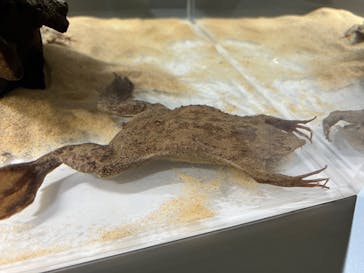 AOAO SAPPOROに投稿された画像（2024/10/2）