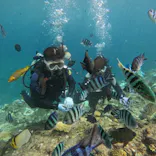 武藤潜水に投稿された画像（2024/10/2）