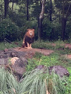 到津の森公園に投稿された画像（2024/10/2）