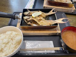 観光遊魚ブルーバネッサに投稿された画像（2024/10/2）