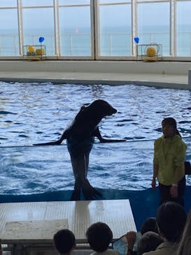 アクアワールド茨城県大洗水族館に投稿された画像（2024/10/2）