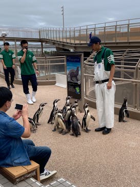 アクアワールド茨城県大洗水族館に投稿された画像（2024/10/2）