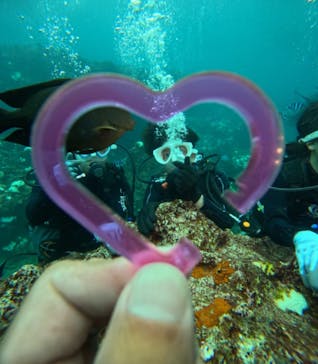 青の洞窟専門店　沖縄ダイビングショップ和に投稿された画像（2024/10/2）