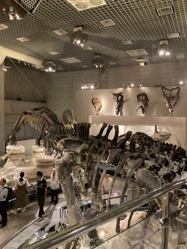 国立科学博物館に投稿された画像（2024/10/2）