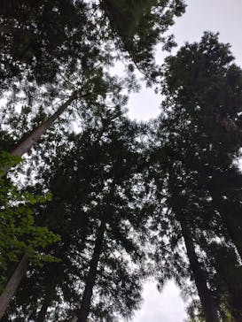 加賀 伝統工芸村　ゆのくにの森に投稿された画像（2024/10/2）