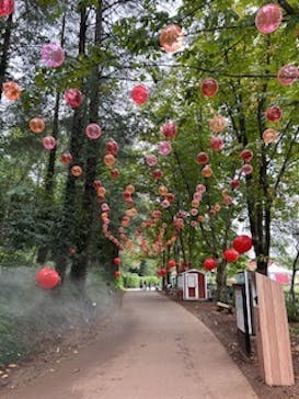 ムーミンバレーパークに投稿された画像（2024/10/2）