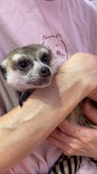 原宿かわいい動物園に投稿された画像（2024/10/2）