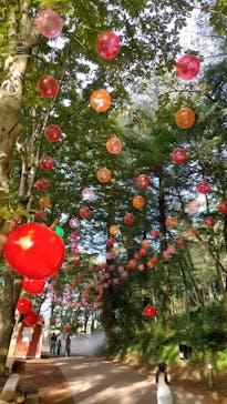 ムーミンバレーパークに投稿された画像（2024/10/2）