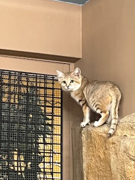 那須どうぶつ王国に投稿された画像（2024/10/2）